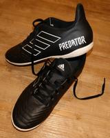 Adidas Predator Sportschuh, Größe 41 ½ Sachsen - Hartha Vorschau