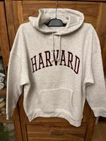 Primark Pulli Pullover Hoodie Kapuze Kapuzenpulli oversize 34-42 Bayern - Untergriesbach Vorschau