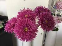 5 Deko Blumen (siehe Foto) Nordrhein-Westfalen - Linnich Vorschau