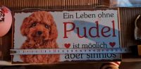 Versch. Hundeschilder aus Holz zuverkaufen NEU  !! Dresden - Gruna Vorschau