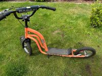 Roller / Scooter von Passat Niedersachsen - Bröckel Vorschau