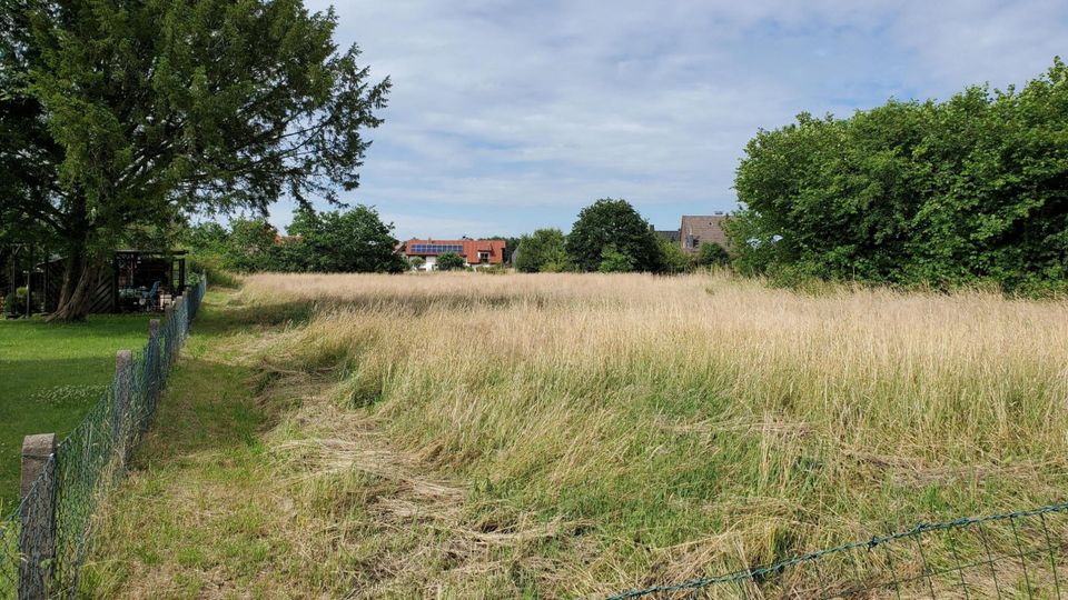 Ruhig Wohnen in zweiter Reihe! in Detmold