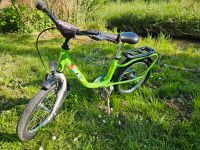 Puky Kinderfahrrad Nordrhein-Westfalen - Barntrup Vorschau