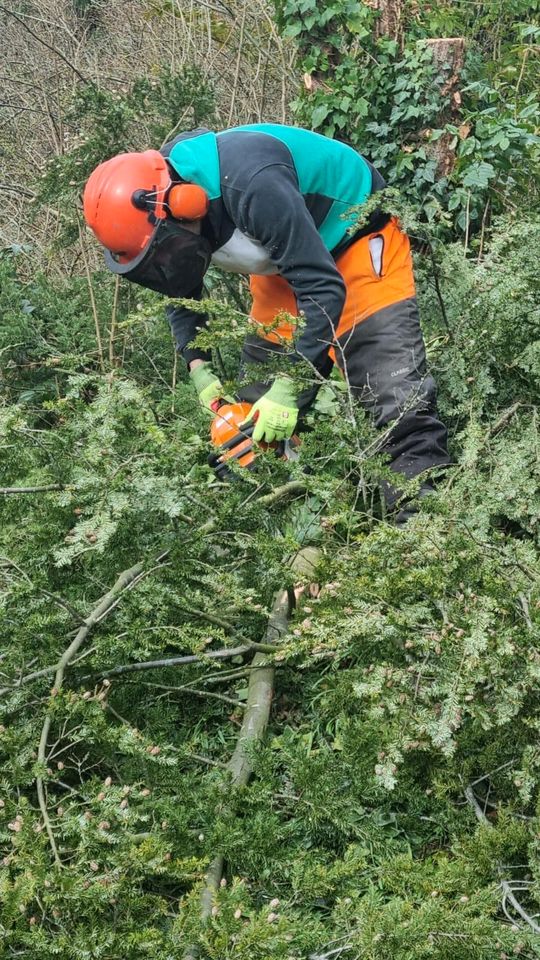 Haushaltshilfe, Reinigung, Gartenpflege für Kulmbach! in Kulmbach