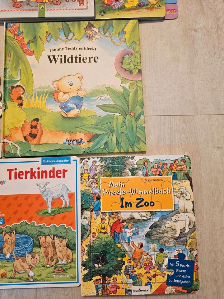 Kinderbücher für KiTa Kinder, Bilderbücher in Duisburg
