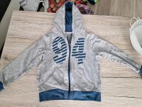 1 Sweatjacke und 1 Pullover Gr. 122/128 Brandenburg - Forst (Lausitz) Vorschau