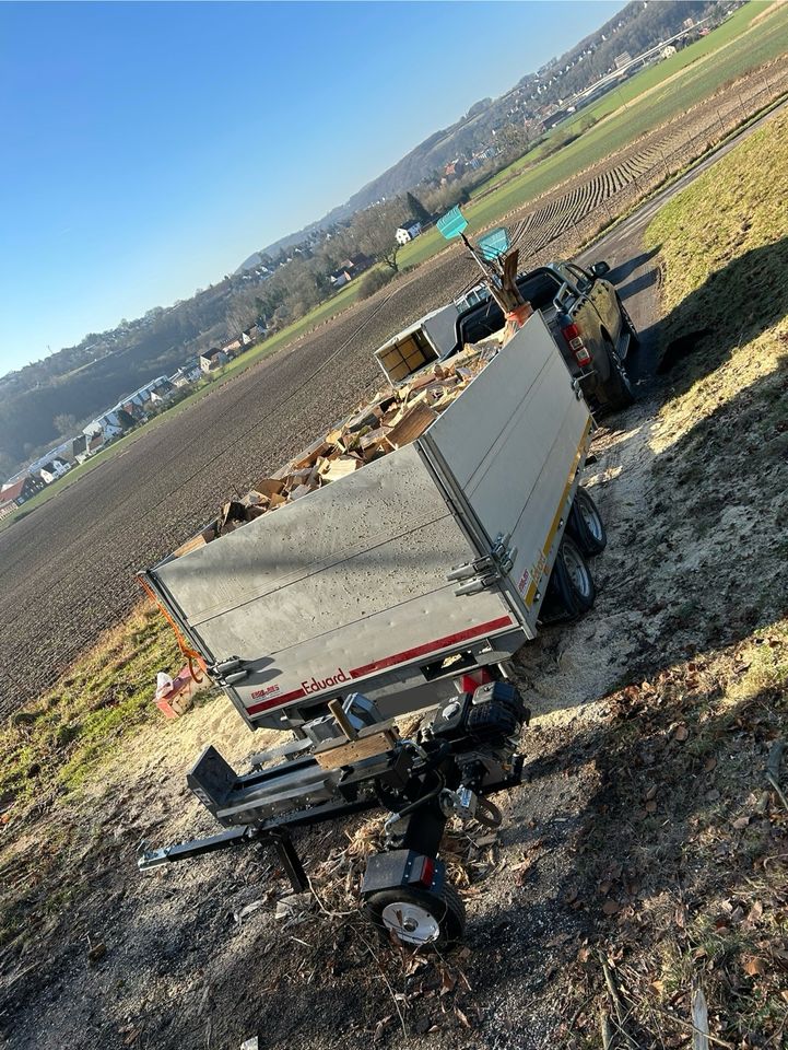 Bagger- Erdarbeiten, Forstarbeiten, Landschatfspflege in Vlotho