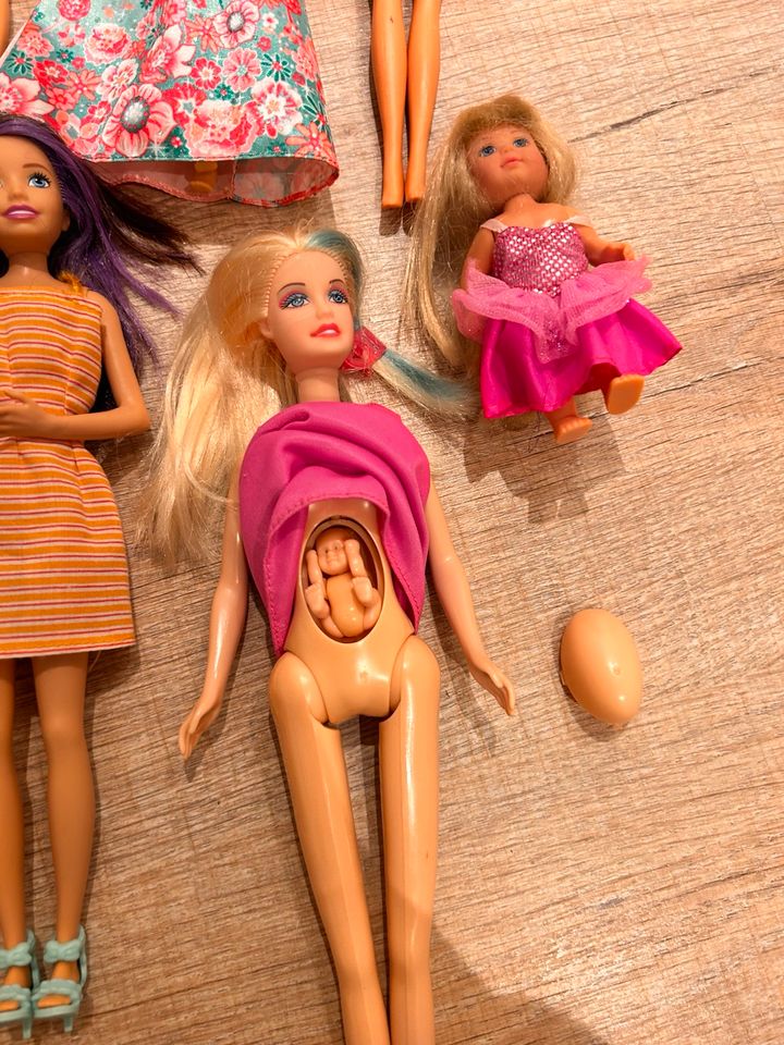 Barbie Puppen in Uetze