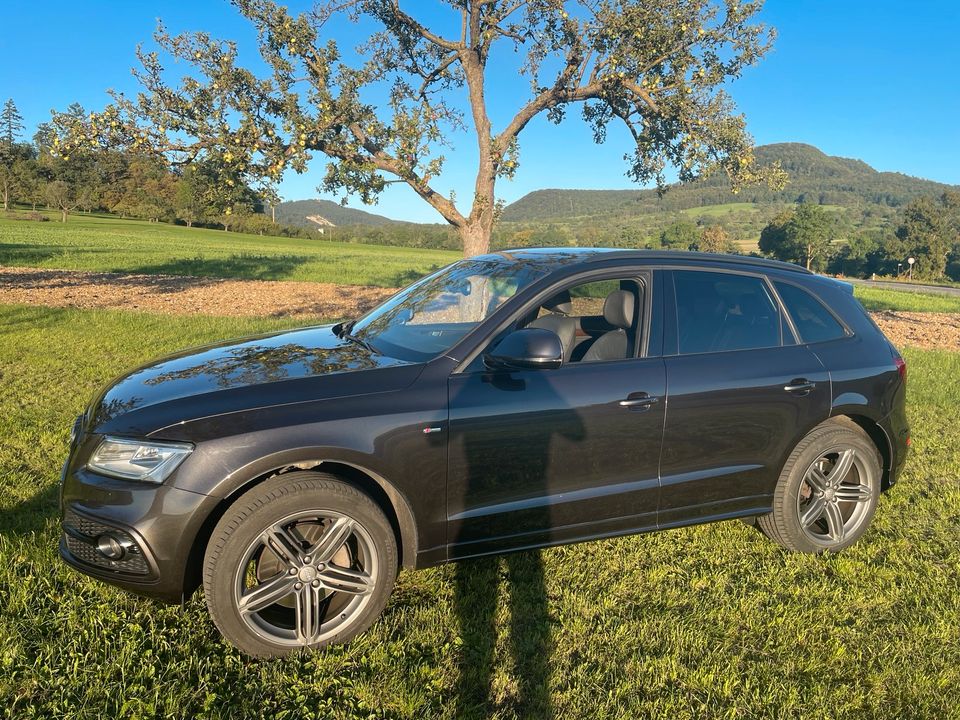 Audi Q5 3.0 TDI Euro6 Clean Diesel S-Line Navi in Mössingen