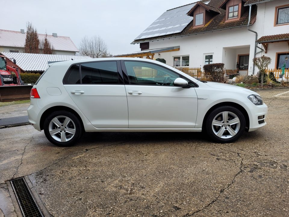 Volkswagen Golf 1,5 Edition BMT Navi Xenon Teilleder in Sünching