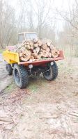 Waran DDR Dumper Holz Straßenzulassung Sachsen-Anhalt - Burg Vorschau