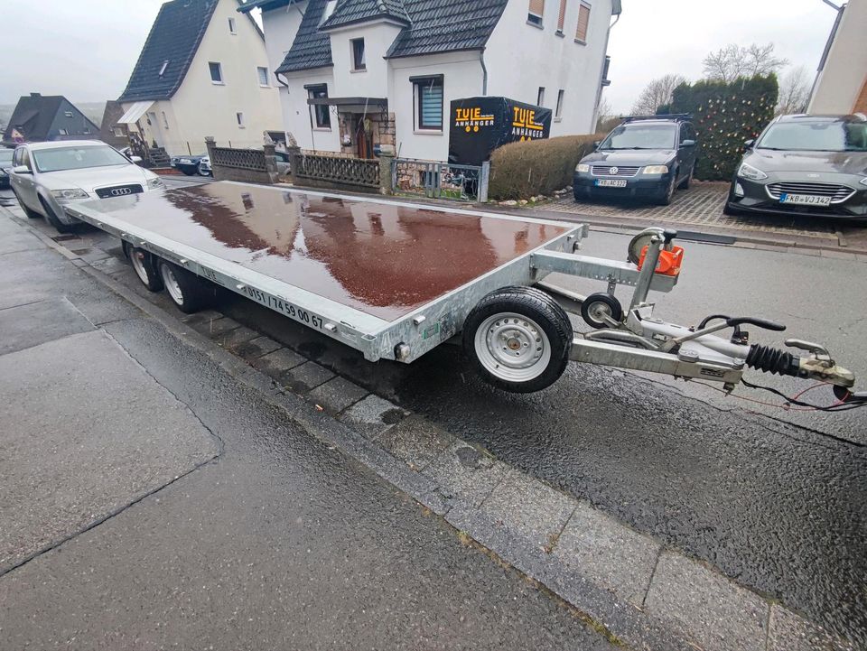 Multitransporter Autotransporter 3500kg in Frankenberg (Eder)