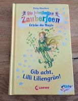 Die fabelhhaften Zauberfeen Gib acht, Lilli Lieliengrün Hessen - Biblis Vorschau