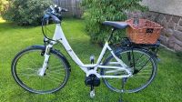 Damenfahrrad E Bike 28 Zoll Pegasus Damen E-Bike Sachsen - Limbach-Oberfrohna Vorschau