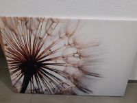 Pusteblume Leinwand XXL Bayern - Buch Vorschau