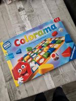 Colorama spielend neues Lernen Ravensburger Schleswig-Holstein - Lentföhrden Vorschau