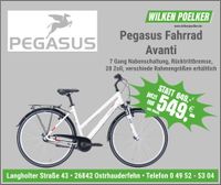 Pegasus Fahrrad AVANTI 7 Gang Trapez weiß UVP 649 € Niedersachsen - Ostrhauderfehn Vorschau
