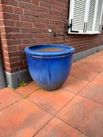 XXL Blumentöpfe Schleswig-Holstein - Ottenbüttel Vorschau