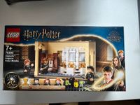 Lego Harry Potter, Hogwarts Polyjuice Potion Mistake, Set 76386 Hessen - Selters Vorschau