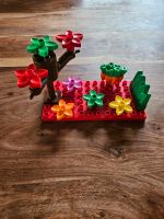 Lego Duplo Blumenwiese Rheinland-Pfalz - Bosenbach Vorschau