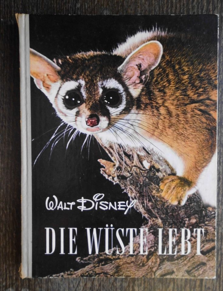 Walt Disney: Die Wüste lebt - Buch nach dem Film Manfred Hausmann in Thedinghausen