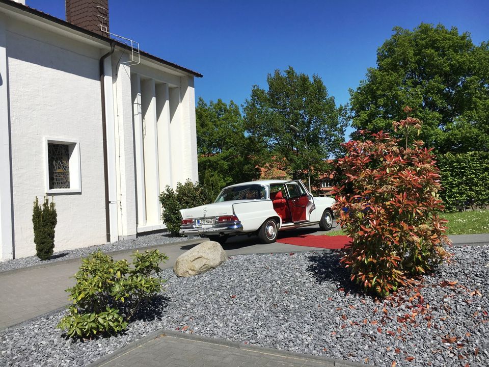 Hochzeitsauto Brautauto Oldtimer VW T2 Mercedes Heckflosse in Dörentrup