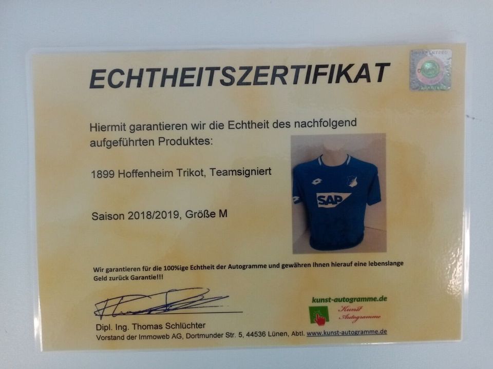 1899 Hoffenheim Trikot 18/19 Teamsigniert Autogramm COA Lotto M in Lünen