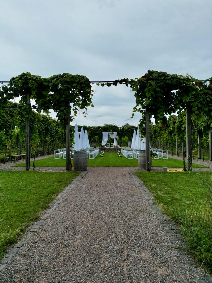 WEDDING Stuhl Hochzeit Trauung Feier -> zur Miete für Ihr Fest in Ludwigshafen
