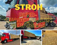 Stroh & Heu in Rund-, Quader-, u. HD-Ballen inklusive Transport Saarland - Weiskirchen Vorschau