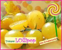 ♥ BIO Tomate Lollipop,Samen,alte Sorte mit Geschmack,Tulpenstolz Eimsbüttel - Hamburg Schnelsen Vorschau