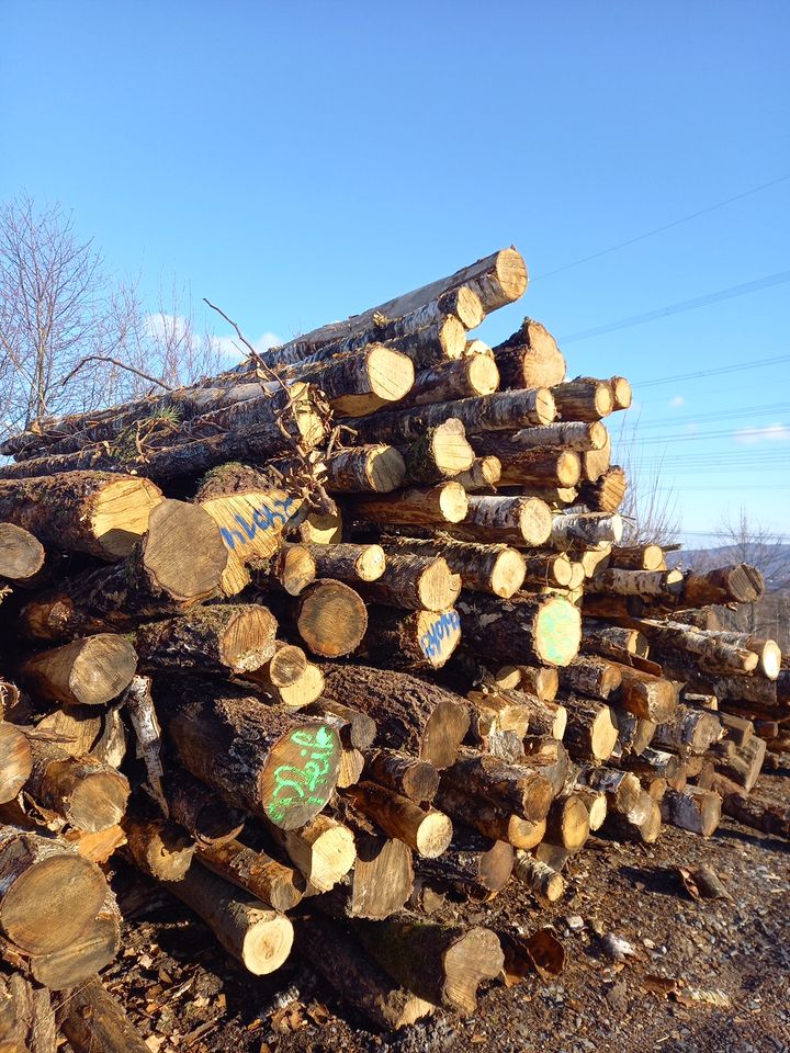 Brennholz MIX Laubholz 33cm Holz zum selber Fahren fertig geladen in Betzdorf
