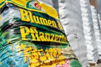 Blumen und Pflanzerde 70l Saarland - Homburg Vorschau