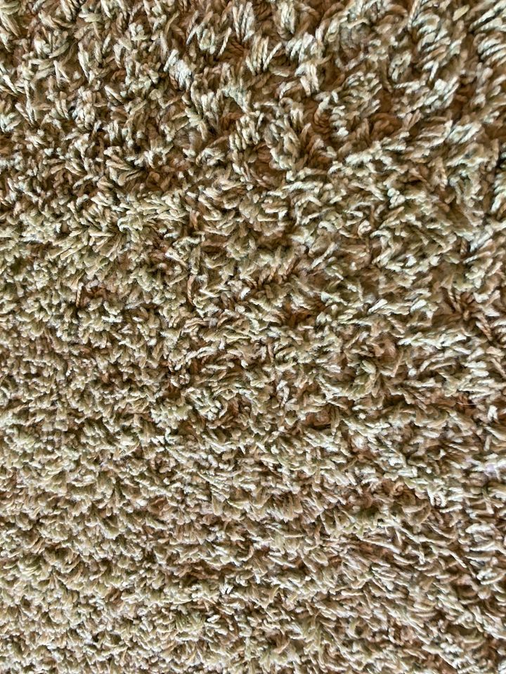 Grüner Teppich in Lindau