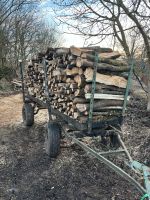 Anhänger für Brennholz Hessen - Grebenhain Vorschau