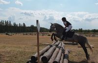 Geländespringen VS Einstiegsunterricht mit eigenen oder Lehrpferd Brandenburg - Liebenwalde Vorschau