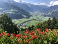 Ferienwohnung im Zillertal/Tirol mit wunderschöner Aussicht Bayern - Teublitz Vorschau