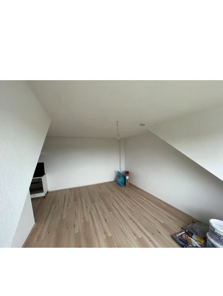 1 Zimmer Wohnung renoviert, großes Bad mit kleiner Küche in Kassel