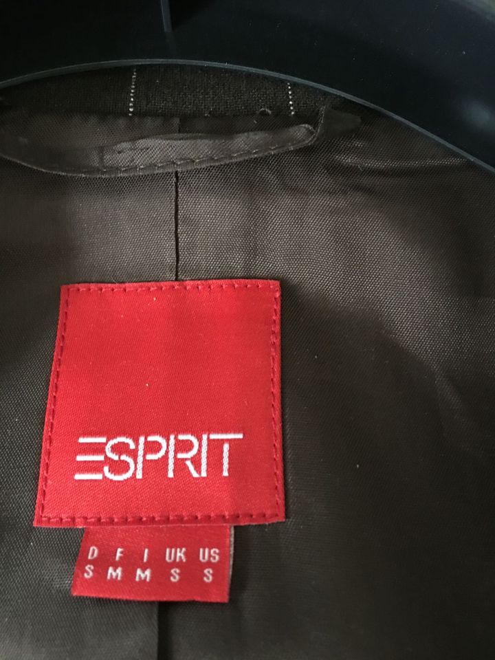 Esprit Anzug Blazer Hose Gr. 36 Nadelstreifen Schlaghose Frauen in Pritzwalk