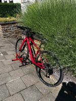 Canyon Roadlite AL 5.0 WMD Rheinland-Pfalz - Winningen Vorschau