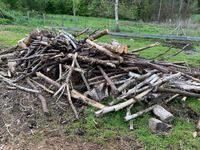 Holz zum Selberabholen Baden-Württemberg - Immenstaad Vorschau
