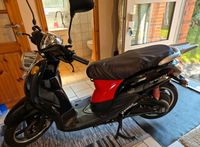 Neuwertig (750km) Elektroroller Electric Scooter Akku Motoroller Schleswig-Holstein - Schwedeneck Vorschau