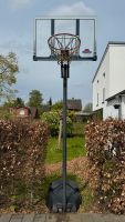 Basketball Korb Lifetime #90001 höhenverstellbar mit Federung Niedersachsen - Lüneburg Vorschau