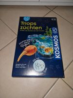 Tripos züchten Kosmos Niedersachsen - Bückeburg Vorschau