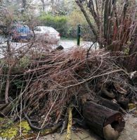 Wir entsorgen Grünschnitt, Gartenabfall, Laub, Äste, Wurzeln,Holz Wuppertal - Barmen Vorschau