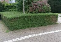 Gartenpflege mit Entsorgung Nordrhein-Westfalen - Erkrath Vorschau