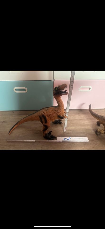 Dinosaurier stego triceratopt autodino Plüsch Kuschel Tier in Bocholt