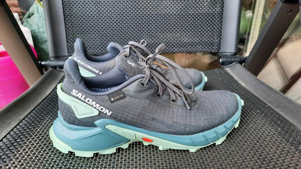 SALOMON DAMEN TRAILRUNNINGSCHUHE ALPHACROSS 4 GTX W in Saarbrücken