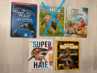Kinderbuch Haie, Wale & Delfine, Reptilien Schleswig-Holstein - Schuby Vorschau