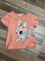 Tshirt süßer Hase von H&M in Größe 98/104 Niedersachsen - Bockenem Vorschau