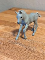 Schleich Araber Fohlen 13762 Nordrhein-Westfalen - Schmallenberg Vorschau